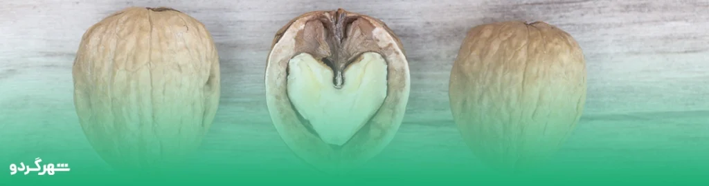 خواص گردو برای قلب