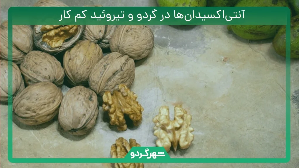 آنتی‌اکسیدان‌ها در گردو و تیروئید کم کار