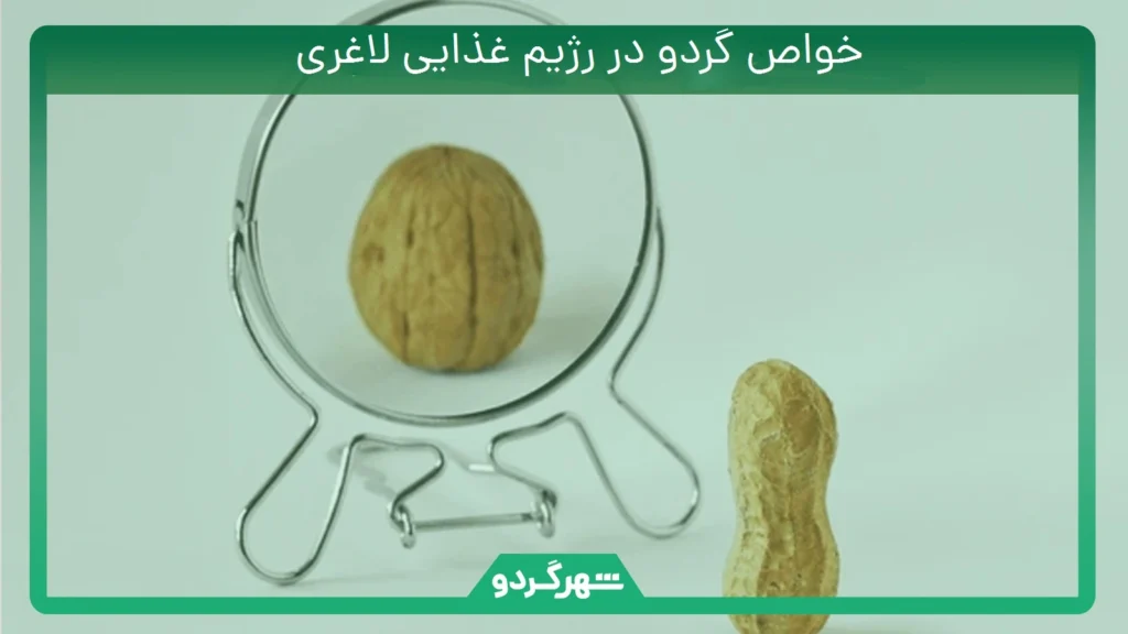 خواص گردو در رژیم غذایی لاغری