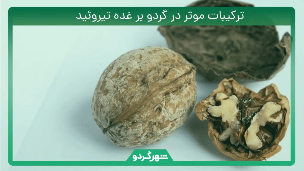 ترکیبات موثر در گردو بر غده تیروئید