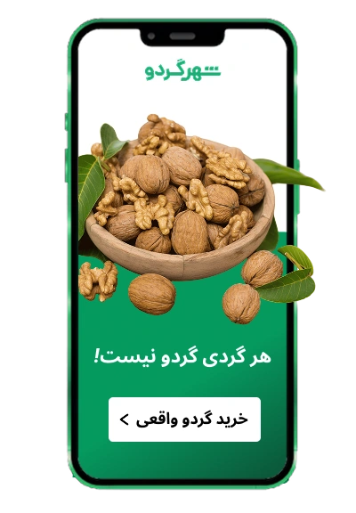 خرید گردو از شهر گردو