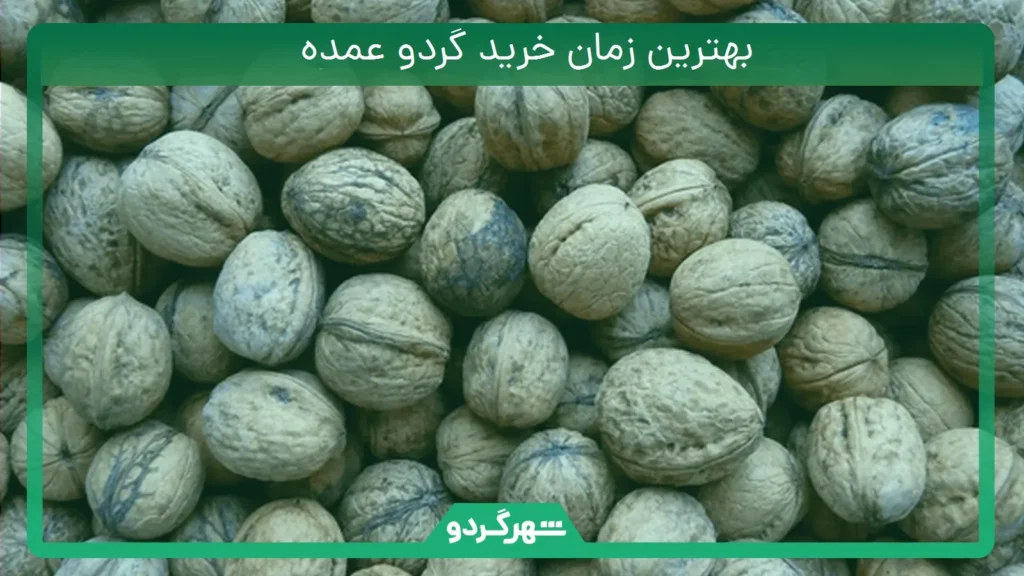 بهترین زمان خرید گردو عمده