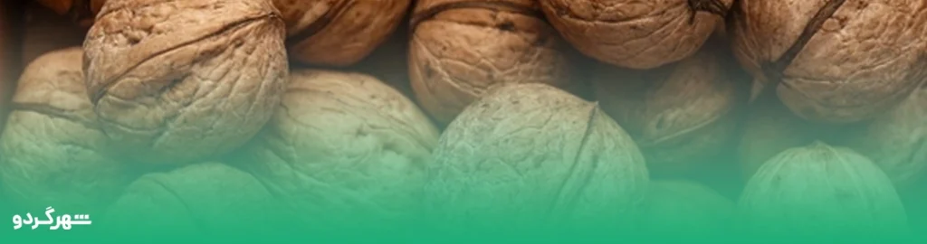 گردو خوب از کجا بخرم؟