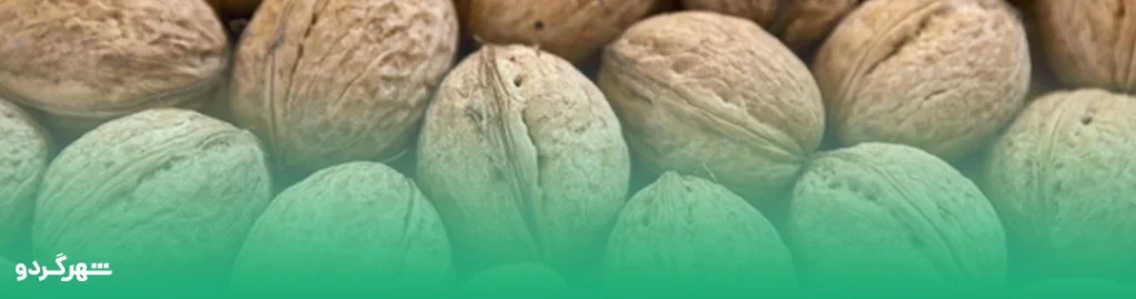 خواص گردو تازه