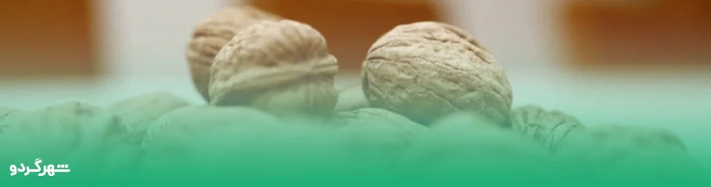 خواص گردو برای کودکان