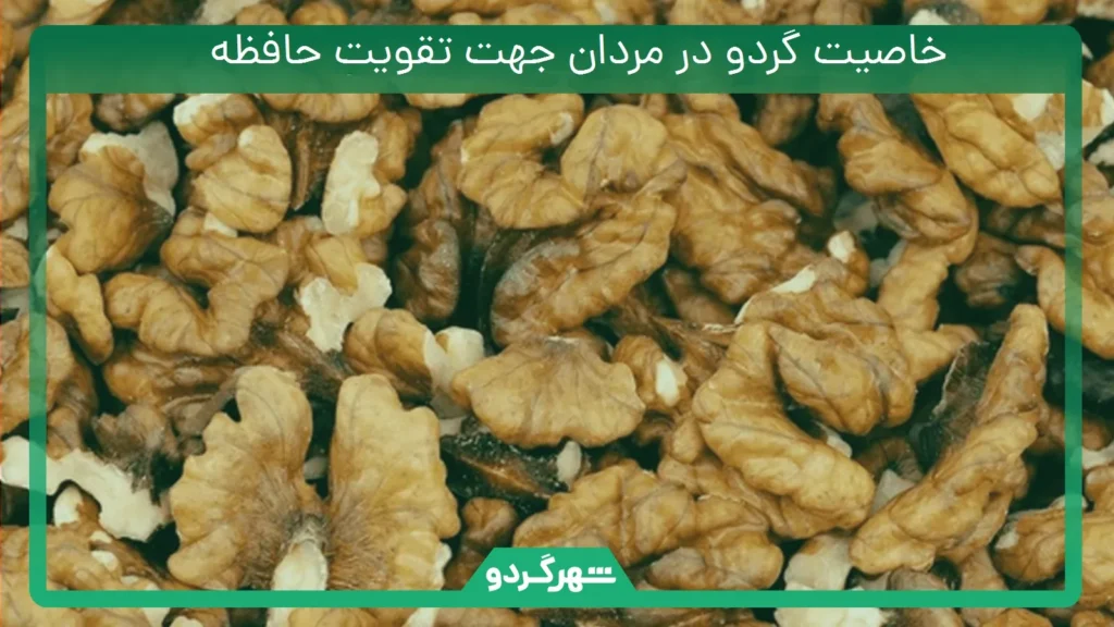 خاصیت گردو در مردان جهت تقویت حافظه