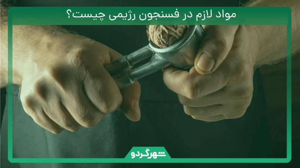 مواد لازم در فسنجون رژیمی چیست